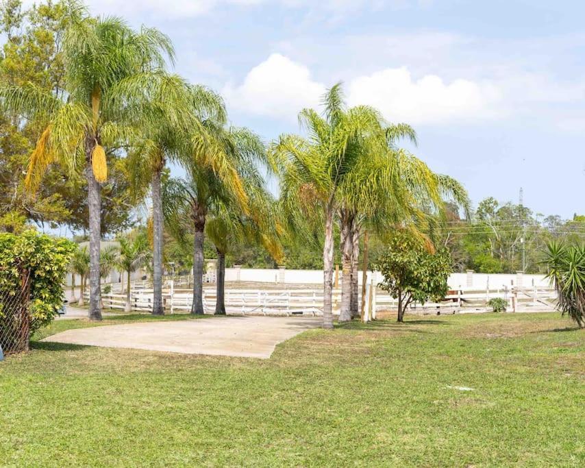 Tampa Bay Oasis Apartment Tarpon Springs Ngoại thất bức ảnh