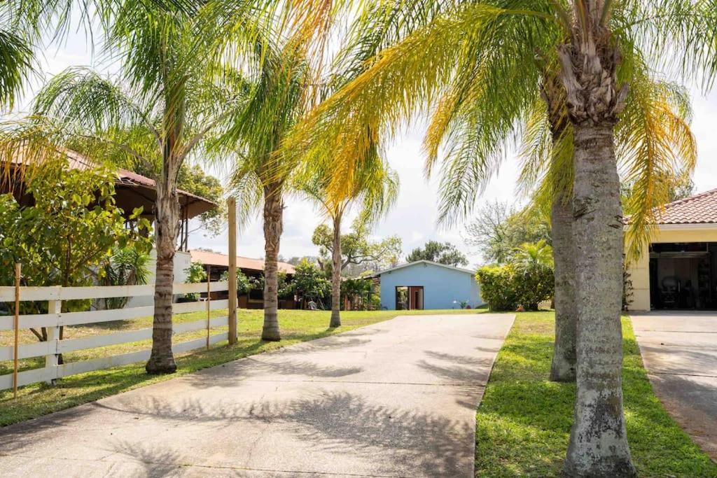 Tampa Bay Oasis Apartment Tarpon Springs Ngoại thất bức ảnh