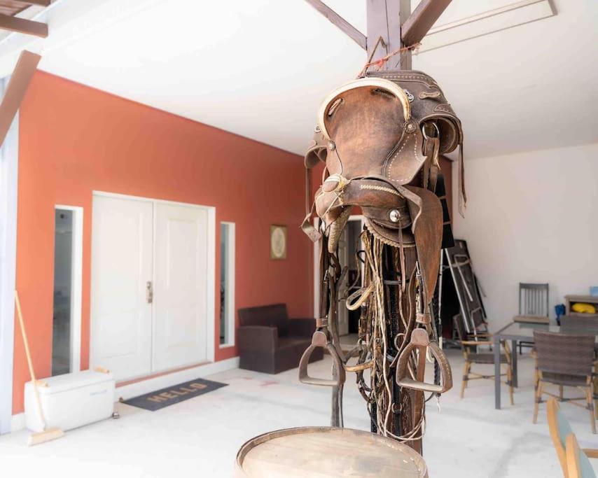 Tampa Bay Oasis Apartment Tarpon Springs Ngoại thất bức ảnh