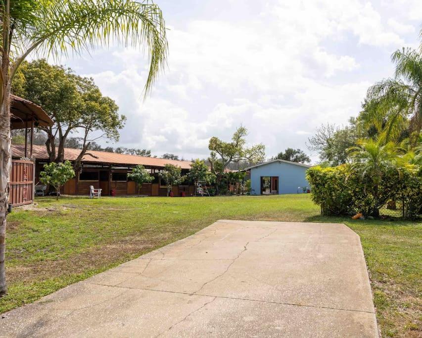 Tampa Bay Oasis Apartment Tarpon Springs Ngoại thất bức ảnh